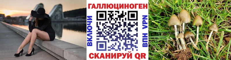 Галлюциногенные грибы MAGIC MUSHROOMS  Купить где  Билибино 